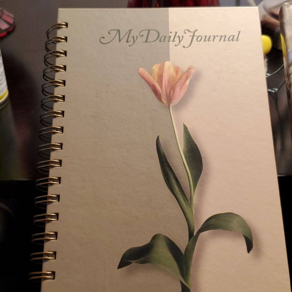 Daily journals